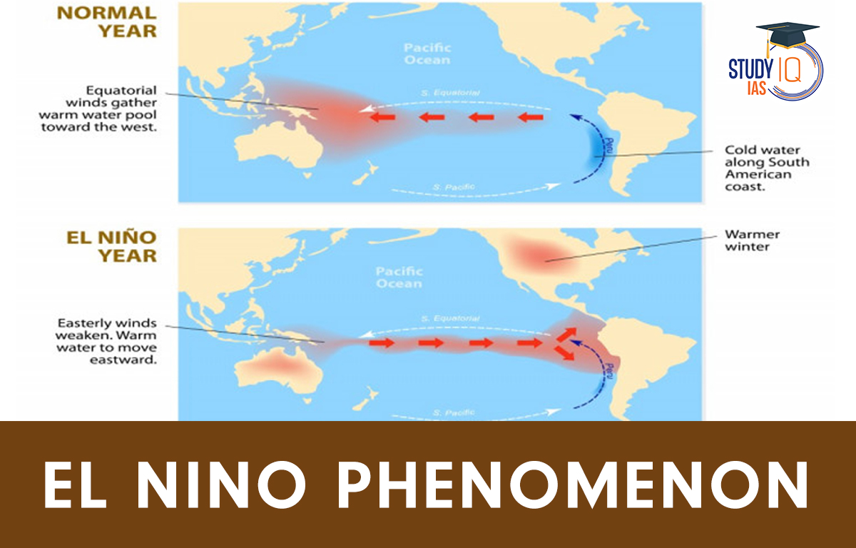 El Nino Pollo