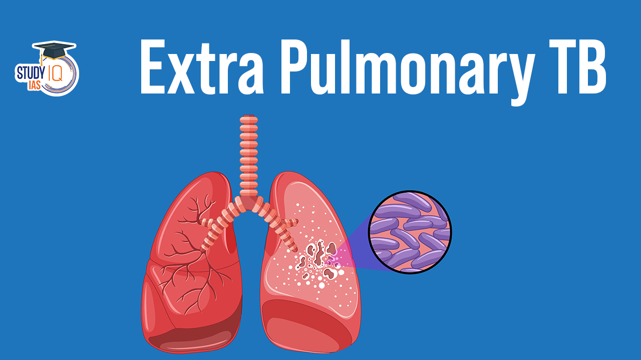 What is Extra Pulmonary Tuberculosis?