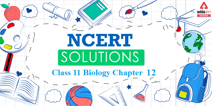 ncert solutions for class 11 biology chapter 12 in hindi