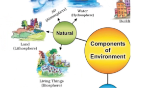 Components of Environment- Definition, Diagram, PDF For Class 7