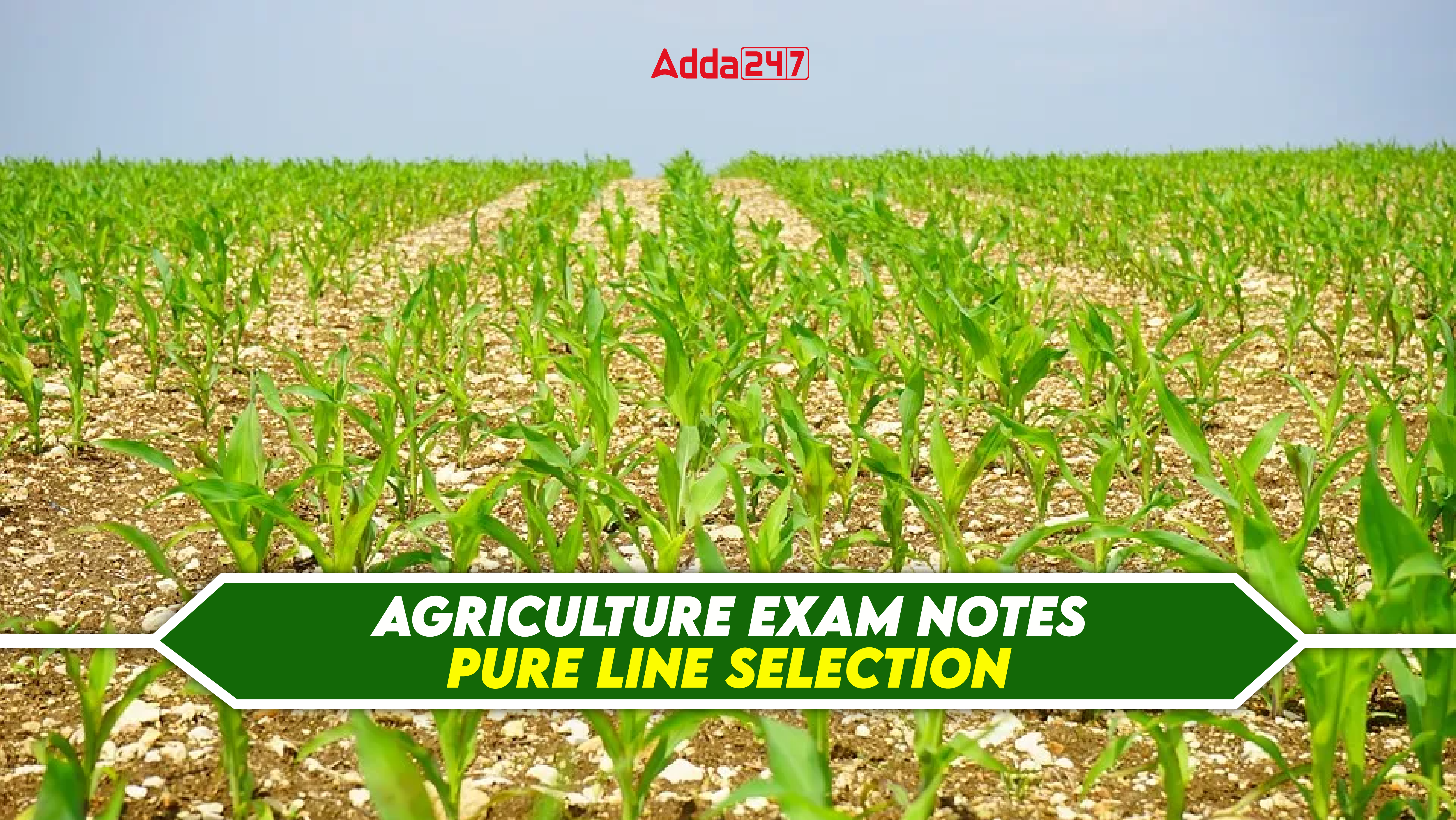 Pure-Line Selection, Breeding Methods In Crop Plants - Exams