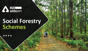 Social Forestry UPSC